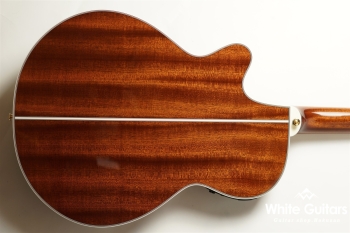 TSP138C - Custom Foliage Green