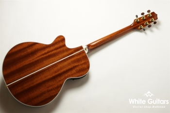 TSP138C - Custom Foliage Green