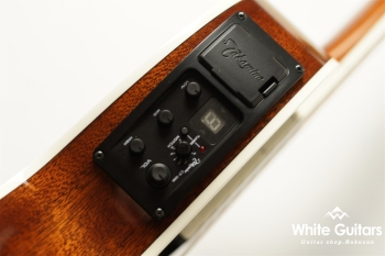 TSP138C - Custom Foliage Green