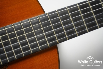 1975年製 1a 杉・ハカランダ 664mm