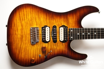 NV-3-24-AL-VTR - Bengal Burst 