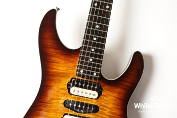 NV-3-24-AL-VTR - Bengal Burst 