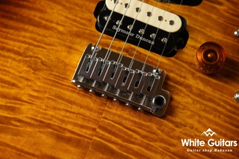 NV-3-24-AL-VTR - Bengal Burst 