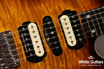 NV-3-24-AL-VTR - Bengal Burst 