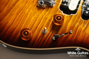 NV-3-24-AL-VTR - Bengal Burst 