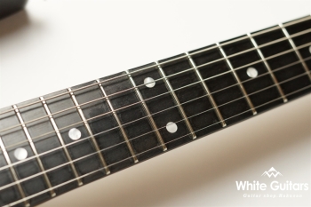 NV-3-24-AL-VTR - Bengal Burst 