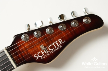 NV-3-24-AL-VTR - Bengal Burst 