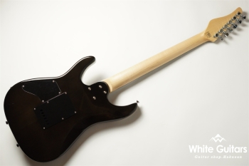 NV-3-24-AL-VTR - Bengal Burst 