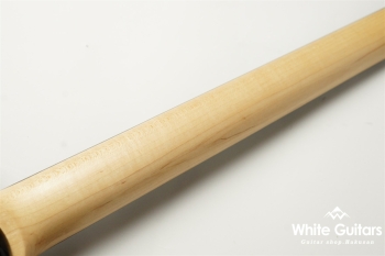 NV-3-24-AL-VTR - Bengal Burst 