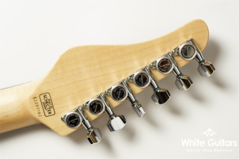 NV-3-24-AL-VTR - Bengal Burst 