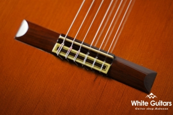 1978年製 1a 杉・ローズウッド 664mm