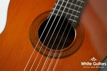 1978年製 1a 杉・ローズウッド 664mm