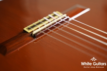 1978年製 1a 杉・ローズウッド 664mm