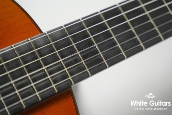 1978年製 1a 杉・ローズウッド 664mm