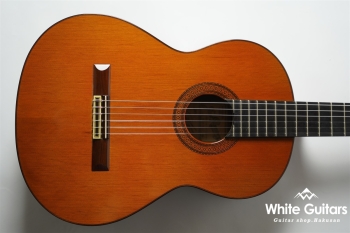 1978年製 1a 杉・ローズウッド 664mm