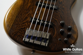 LS549 Fretless