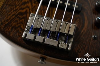 LS549 Fretless