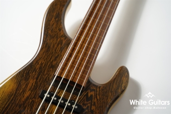 LS549 Fretless