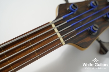 LS549 Fretless