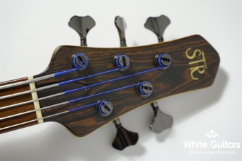LS549 Fretless