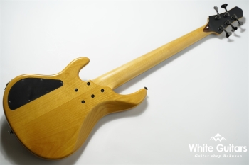LS549 Fretless