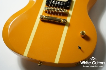 SG Type Custom Order