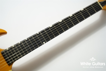 SG Type Custom Order