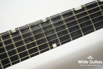 SG Type Custom Order