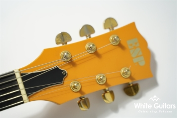 SG Type Custom Order