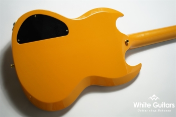 SG Type Custom Order