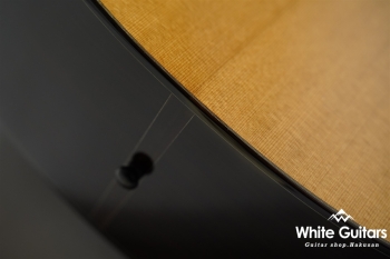 Acoustic Model-AD Cutaway Cedar/Indian Rosewood