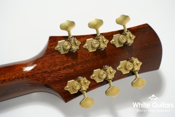 Acoustic Model-AD Sitka Spruce/African Mahogany