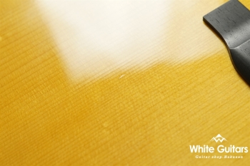 CTM D-28 Adirondack Spruce / Guatemalan Rosewood