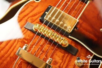 AG95QA -  Dark Brown Sunburst