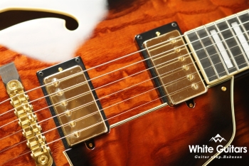 AG95QA -  Dark Brown Sunburst