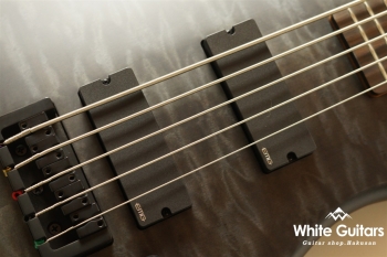 NS Pulse 5 II - Black Stain