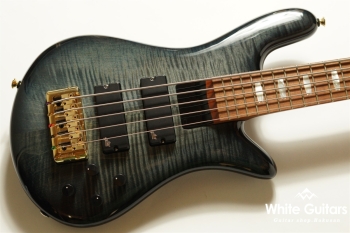 EuroBolt 5 Japan Exclusive - Black Burst