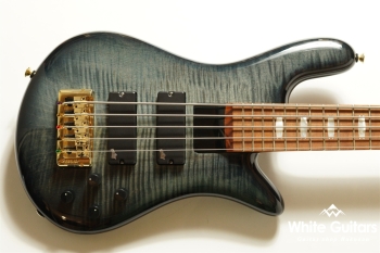 EuroBolt 5 Japan Exclusive - Black Burst