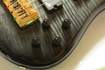 EuroBolt 5 Japan Exclusive - Black Burst