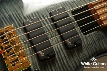 EuroBolt 5 Japan Exclusive - Black Burst