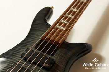 EuroBolt 5 Japan Exclusive - Black Burst