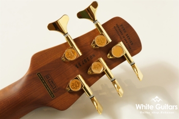 EuroBolt 5 Japan Exclusive - Black Burst