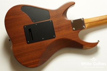 OZ 22 RV ROA VD - Luminous