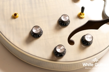 EXRUBATO-CTM-JT - W-BD