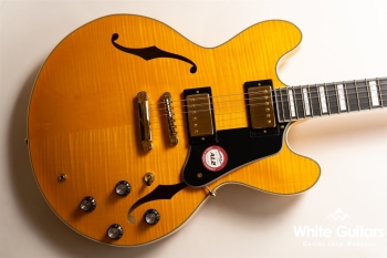 EXRUBATO-CTM-JT - ANA