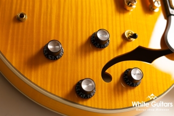 EXRUBATO-CTM-JT - ANA