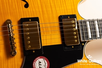 EXRUBATO-CTM-JT - ANA