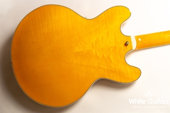 EXRUBATO-CTM-JT - ANA