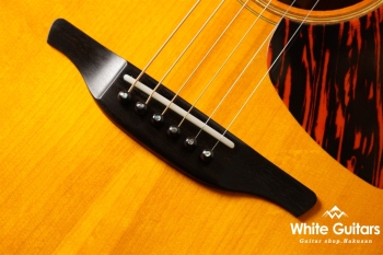 VG-03 Mahogany - Brown Sunburst