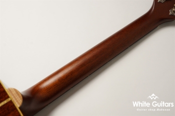 VG-03 Mahogany - Brown Sunburst